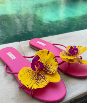 BALI Bloom