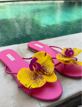 BALI Bloom