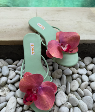 BALI Bloom