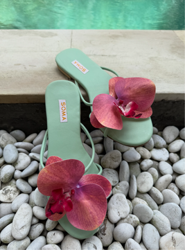 BALI Bloom
