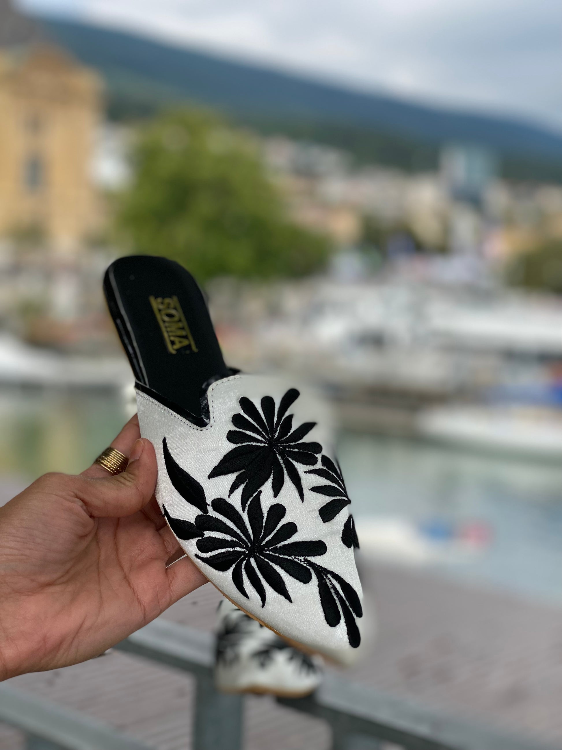 South of France Series- Canne
