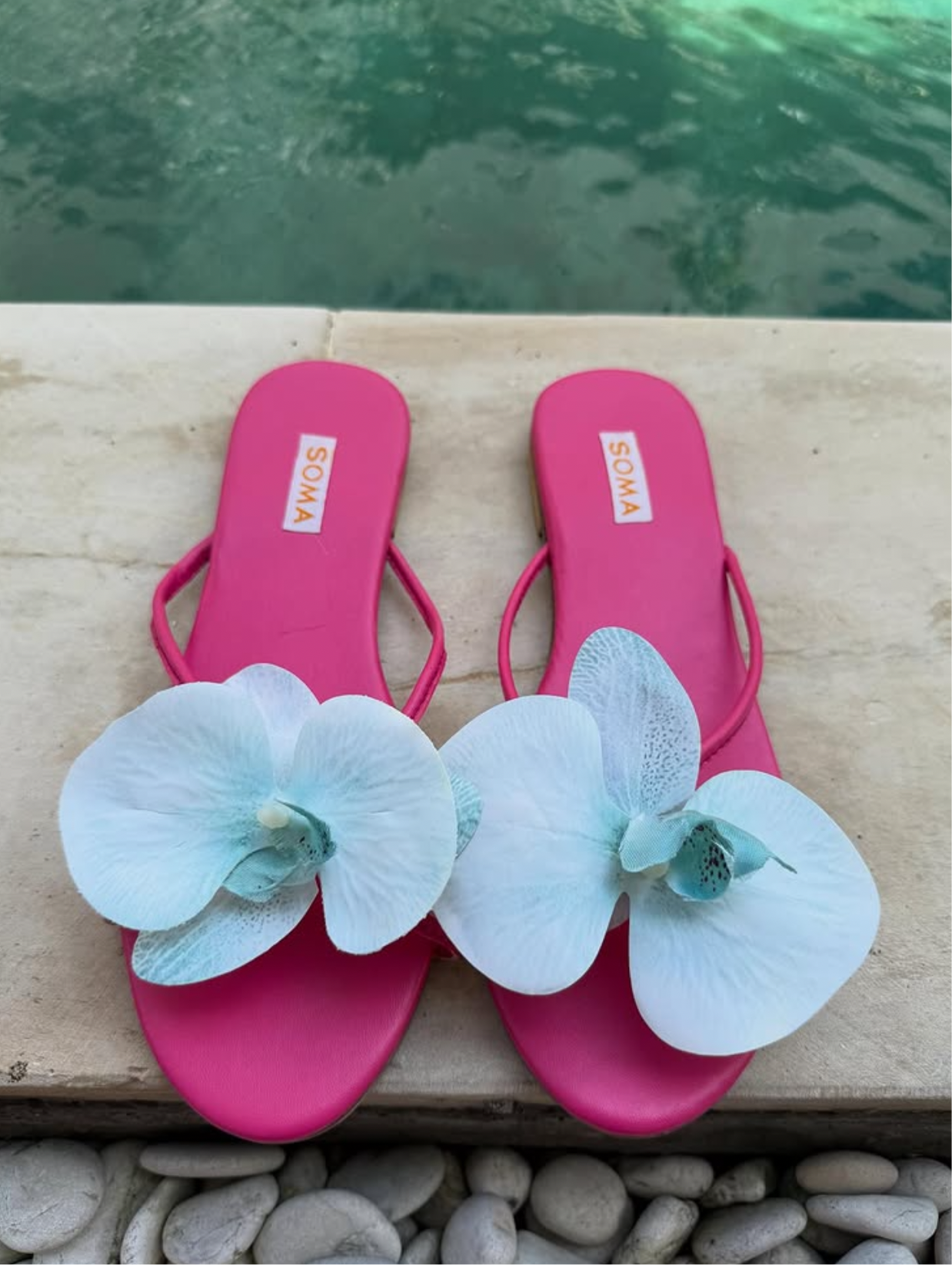 BALI Bloom