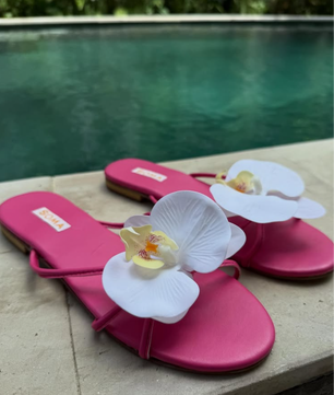 BALI Bloom