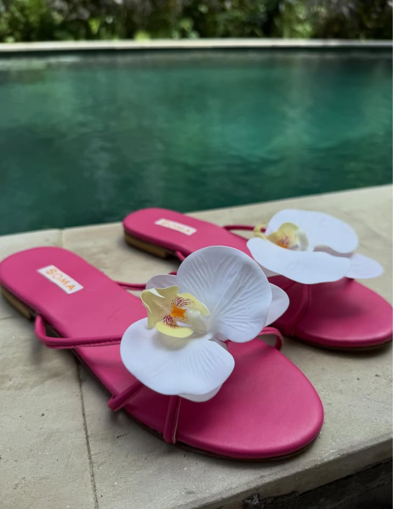 BALI Bloom