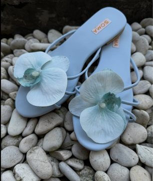 BALI Bloom