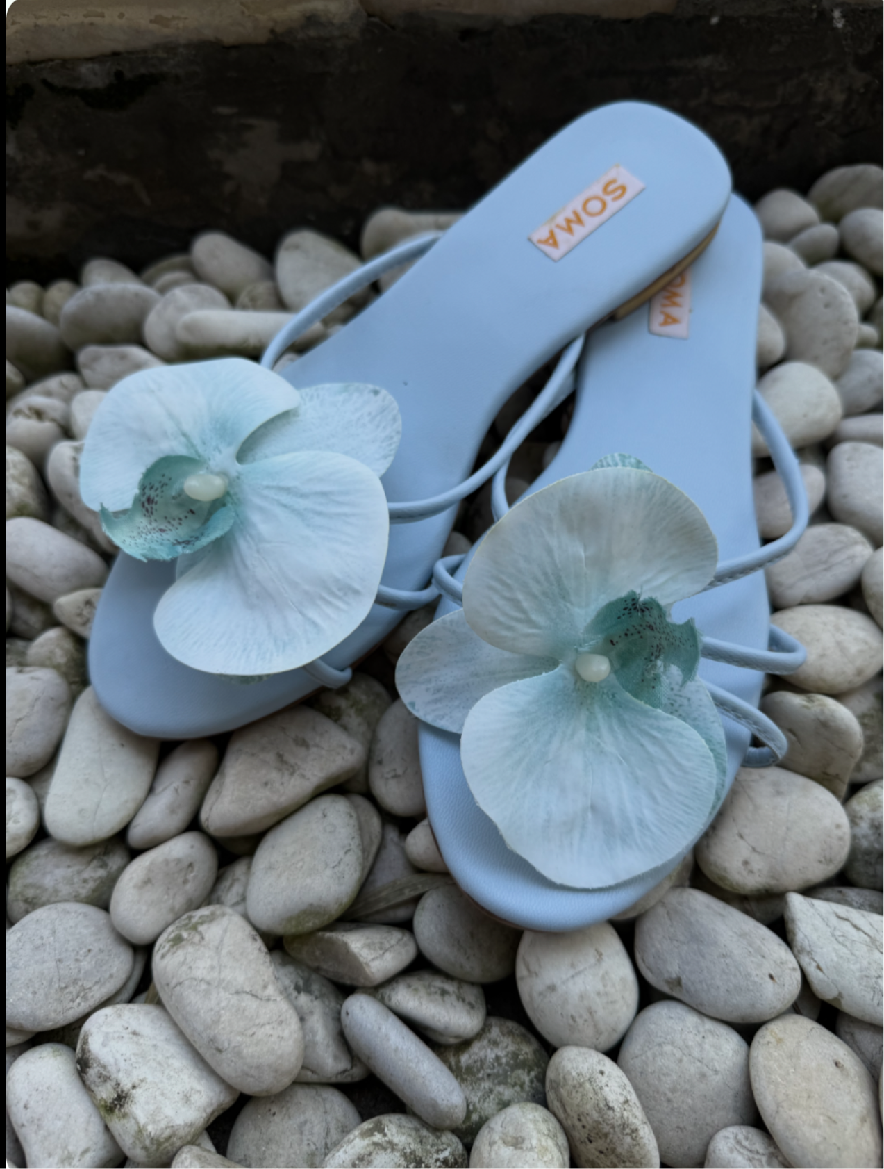 BALI Bloom