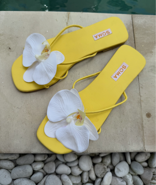 BALI Bloom