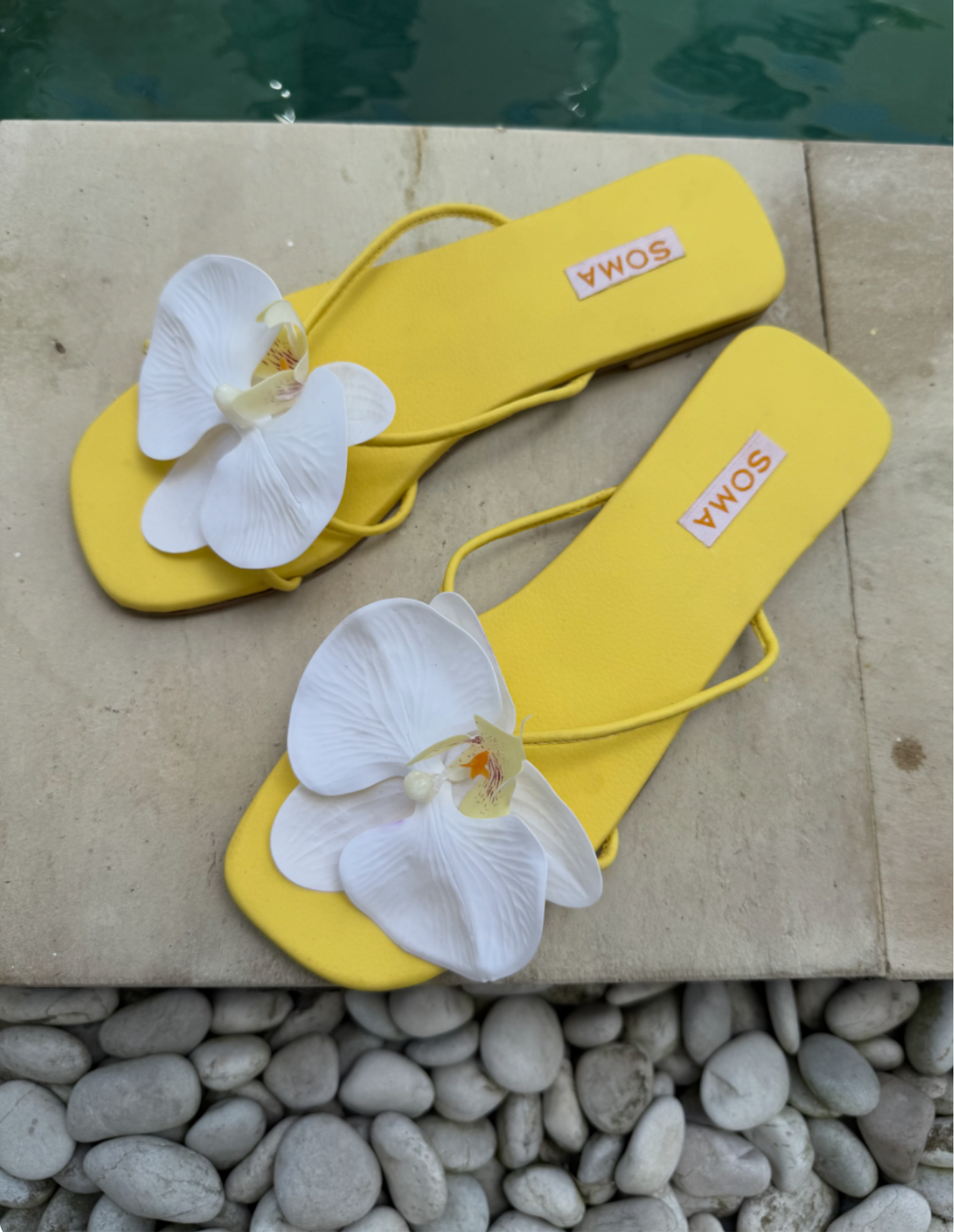 BALI Bloom