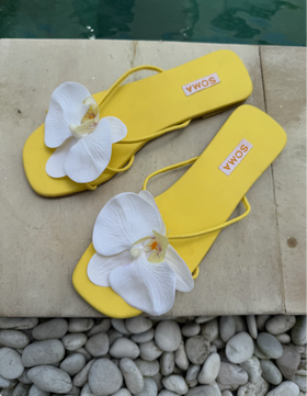 BALI Bloom
