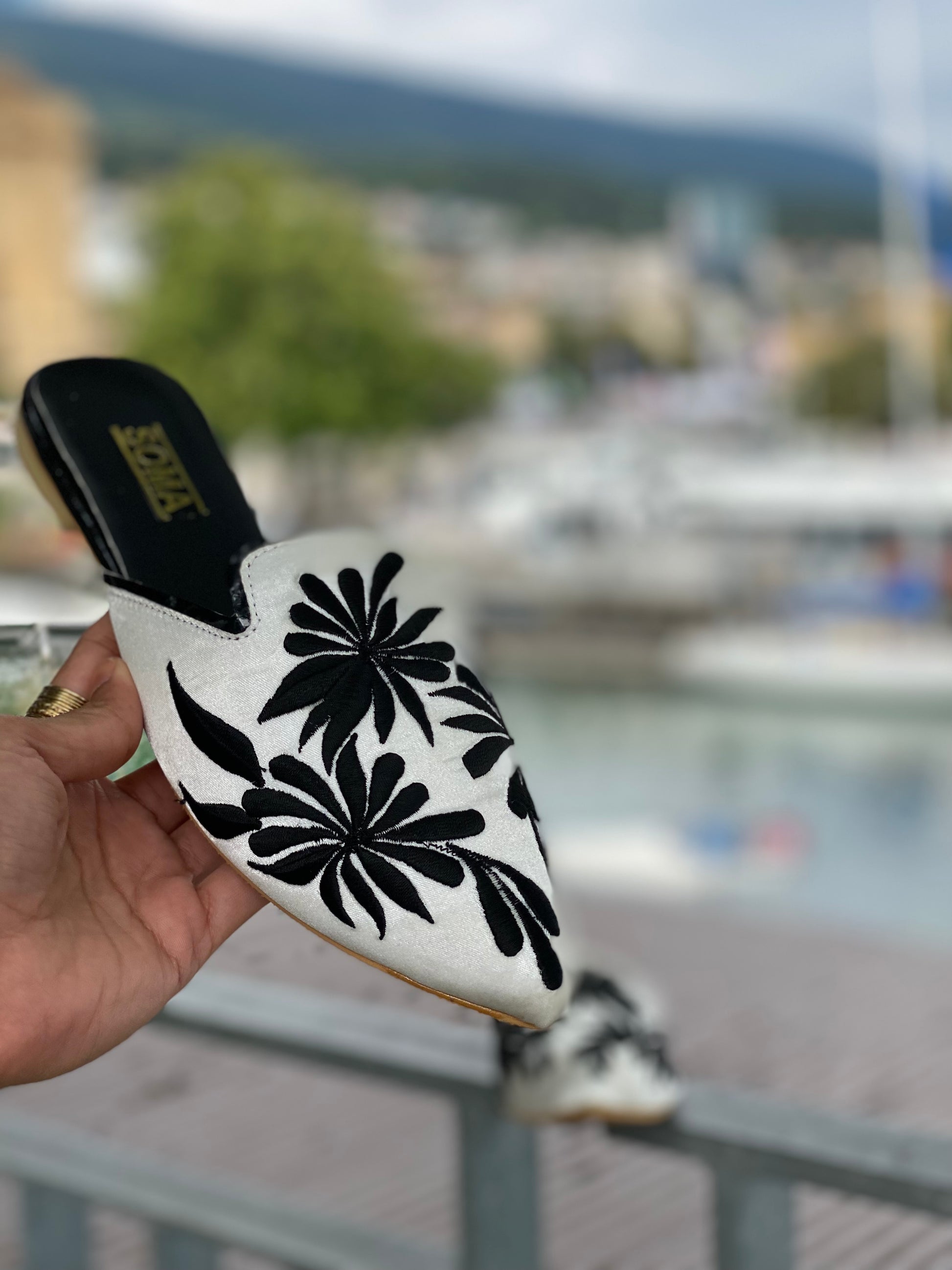 South of France Series- Canne