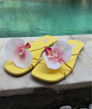 BALI Bloom