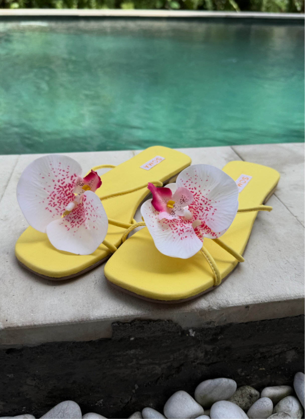 BALI Bloom