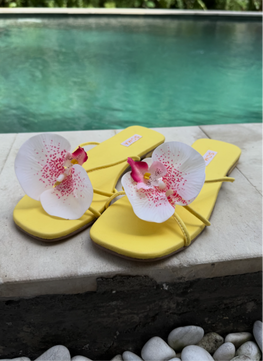 BALI Bloom