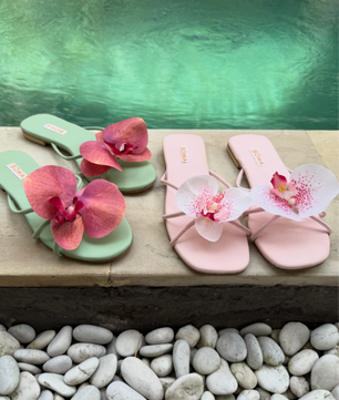 BALI Bloom