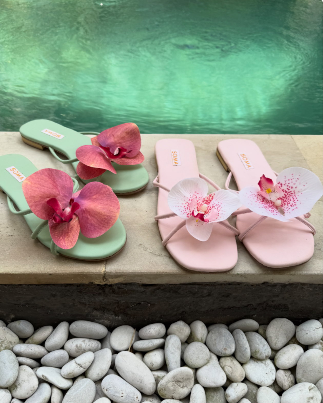 BALI Bloom
