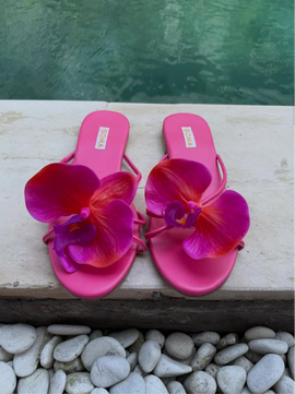 BALI Bloom